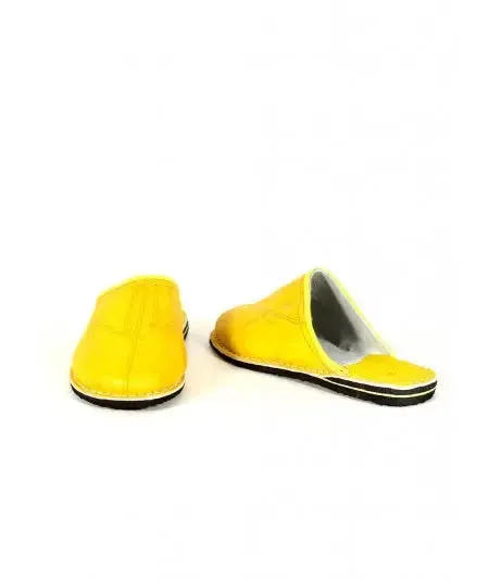 Traditional Moroccan slipper