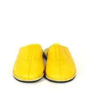 Traditional Moroccan slipper